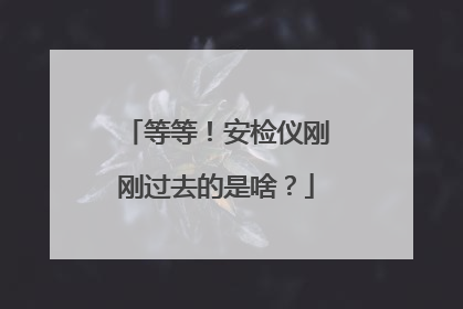 等等！安检仪刚刚过去的是啥？