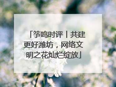筝鸣时评丨共建更好潍坊，网络文明之花灿烂绽放