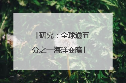 研究：全球逾五分之一海洋变暗