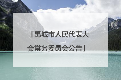 禹城市人民代表大会常务委员会公告