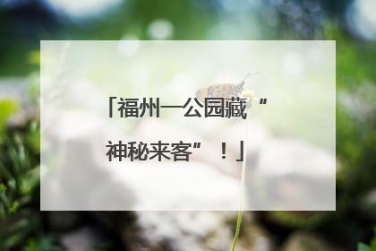 福州一公园藏“神秘来客”！