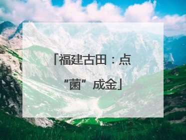 福建古田：点“菌”成金