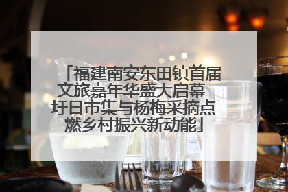 福建南安东田镇首届文旅嘉年华盛大启幕 圩日市集与杨梅采摘点燃乡村振兴新动能