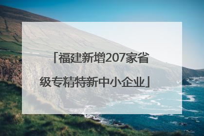 福建新增207家省级专精特新中小企业