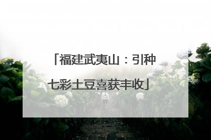 福建武夷山：引种七彩土豆喜获丰收
