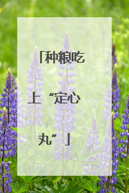 种粮吃上“定心丸”