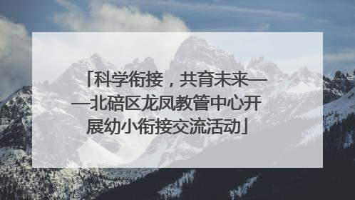 科学衔接，共育未来——北碚区龙凤教管中心开展幼小衔接交流活动