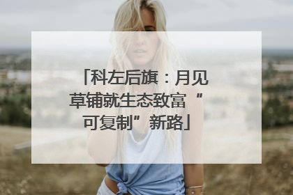 科左后旗：月见草铺就生态致富“可复制”新路