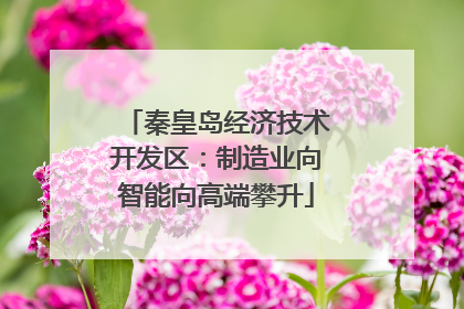 秦皇岛经济技术开发区：制造业向智能向高端攀升