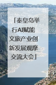 秦皇岛举行AI赋能文旅产业创新发展观摩交流大会
