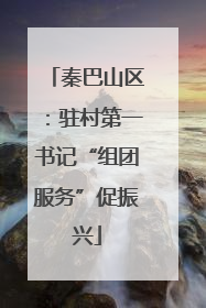 秦巴山区：驻村第一书记“组团服务”促振兴