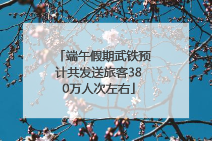 端午假期武铁预计共发送旅客380万人次左右