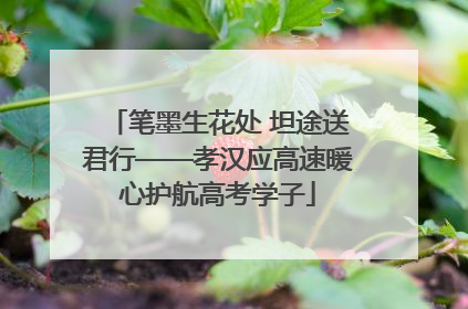 笔墨生花处 坦途送君行——孝汉应高速暖心护航高考学子