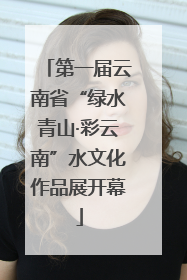 第一届云南省“绿水青山·彩云南”水文化作品展开幕