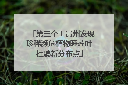 第三个！贵州发现珍稀濒危植物睡莲叶杜鹃新分布点