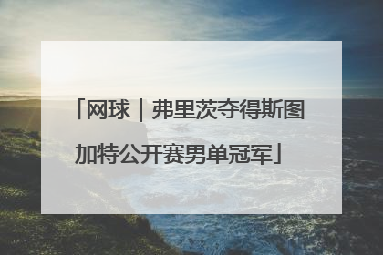 网球｜弗里茨夺得斯图加特公开赛男单冠军