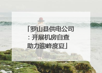 罗山县供电公司：开展机房自查 助力迎峰度夏