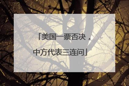 美国一票否决，中方代表三连问