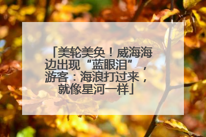 美轮美奂！威海海边出现“蓝眼泪”，游客：海浪打过来，就像星河一样