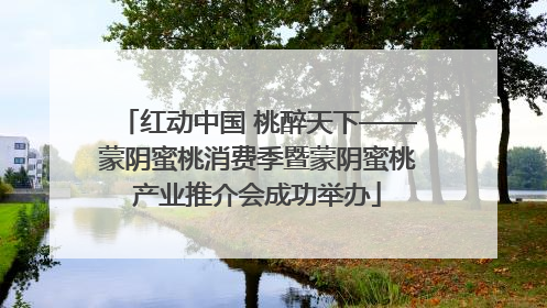 红动中国 桃醉天下——蒙阴蜜桃消费季暨蒙阴蜜桃产业推介会成功举办