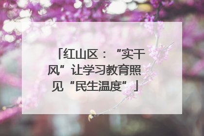 红山区：“实干风”让学习教育照见“民生温度”
