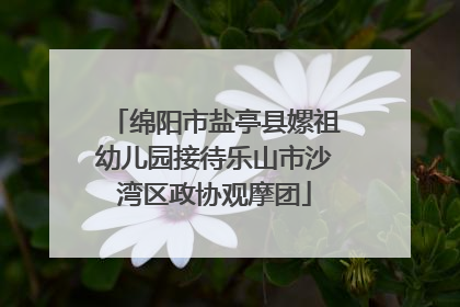 绵阳市盐亭县嫘祖幼儿园接待乐山市沙湾区政协观摩团