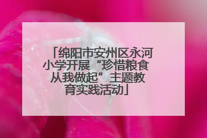 绵阳市安州区永河小学开展“珍惜粮食 从我做起”主题教育实践活动