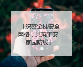 织密金桂安全网格，共筑平安家园防线