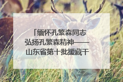 缅怀孔繁森同志 弘扬孔繁森精神——山东省第十批援藏干部人才清明节前到岗巴县开展党性教育