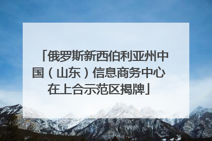 俄罗斯新西伯利亚州中国（山东）信息商务中心在上合示范区揭牌