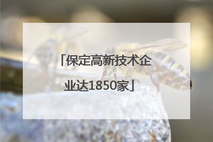保定高新技术企业达1850家