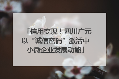 信用变现！四川广元以“诚信密码”激活中小微企业发展动能