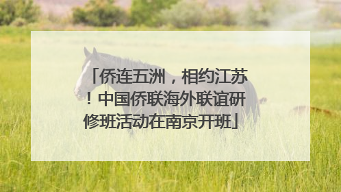 侨连五洲，相约江苏！中国侨联海外联谊研修班活动在南京开班
