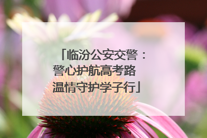 临汾公安交警：警心护航高考路 温情守护学子行