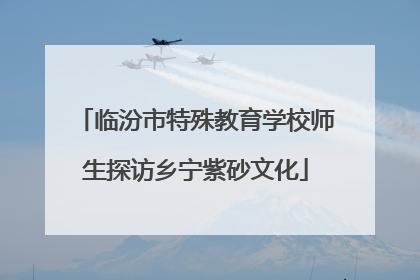临汾市特殊教育学校师生探访乡宁紫砂文化