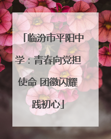 临汾市平阳中学：青春向党担使命 团徽闪耀践初心