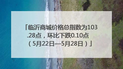 临沂商城价格总指数为103.28点，环比下跌0.10点（5月22日—5月28日）