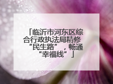 临沂市河东区综合行政执法局精修“民生路”，畅通“幸福线”