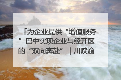 为企业提供“增值服务”巴中实现企业与经开区的“双向奔赴”｜川陕渝网络名人巴中行