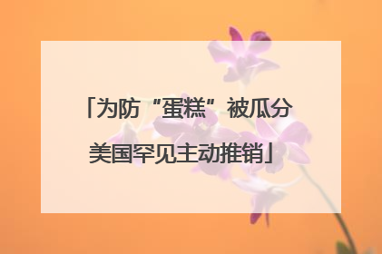 为防“蛋糕”被瓜分 美国罕见主动推销