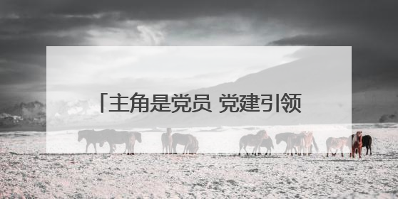 主角是党员 党建引领这家民企高质量发展