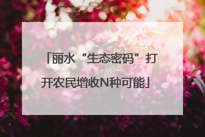 丽水“生态密码”打开农民增收N种可能