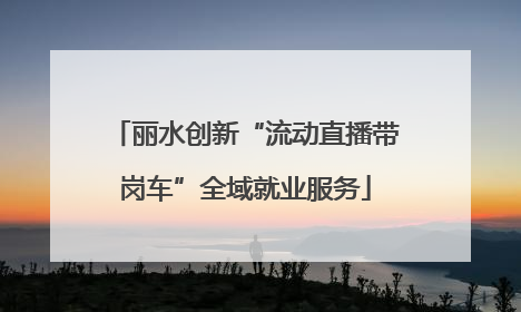 丽水创新“流动直播带岗车”全域就业服务