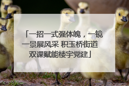 一招一式强体魄，一镜一景展风采 积玉桥街道双课赋能楼宇党建