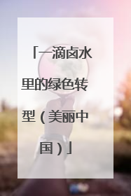 一滴卤水里的绿色转型（美丽中国）