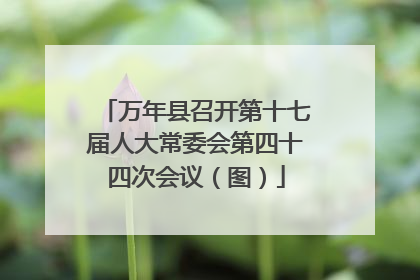 万年县召开第十七届人大常委会第四十四次会议（图）