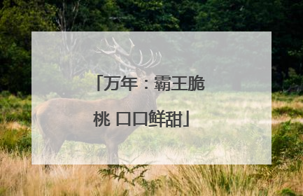 万年：霸王脆桃 口口鲜甜