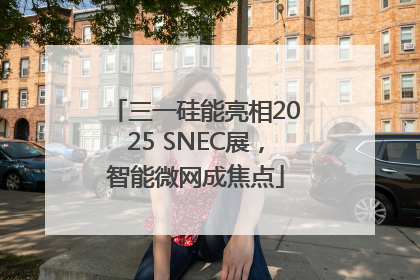 三一硅能亮相2025 SNEC展，智能微网成焦点