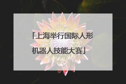 上海举行国际人形机器人技能大赛