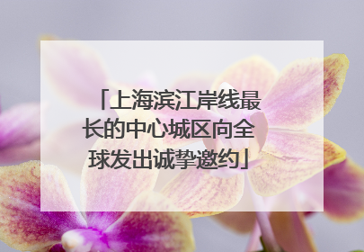 上海滨江岸线最长的中心城区向全球发出诚挚邀约
